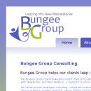 Bungee Group website mockup design